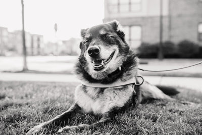 Memory of Remembering Hudson