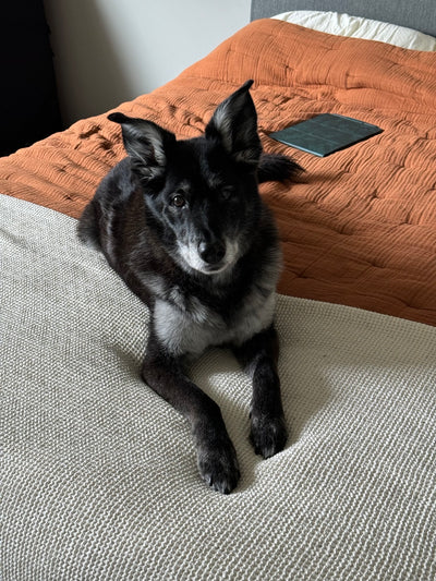 Memory of Remembering Hudson