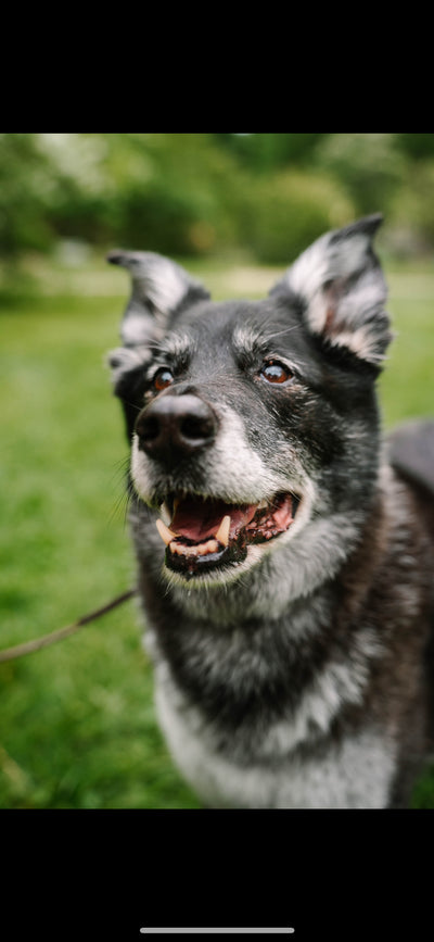 Memory of Remembering Hudson