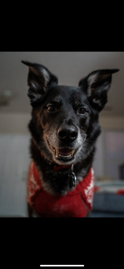 Memory of Remembering Hudson