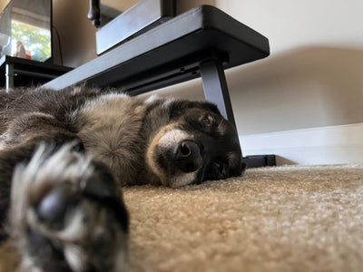 Memory of Remembering Hudson